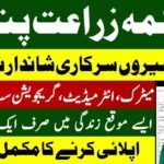 Agriculture Department Punjab Jobs 2026