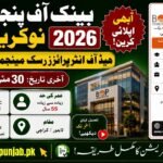 Bank of Punjab Jobs 2026