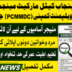 Punjab Cattle Market Management and Development Company PCMMDC Jobs