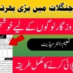 Forest Department KPK Jobs 2026