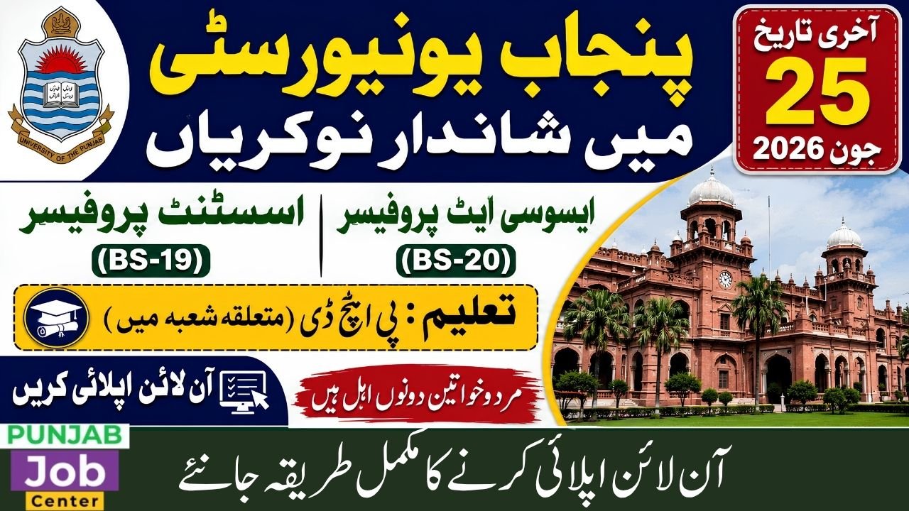 University of the Punjab Jobs 2026