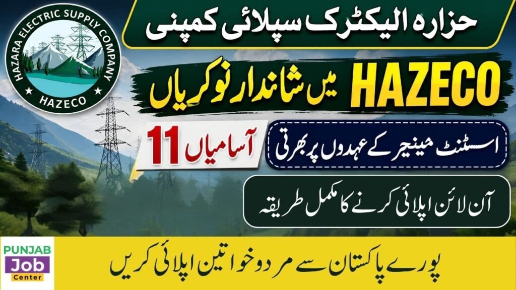 Hazara Electric Supply Company Limited HAZECO Jobs 2026