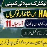 Hazara Electric Supply Company Limited HAZECO Jobs 2026