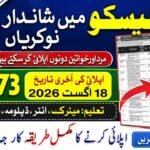 LESCO Jobs 2026