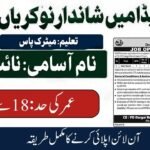 WAPDA jobs 2026